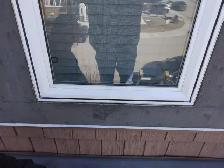 Vinyl Window Frame and glass repair after the hail damage - Photo 4