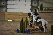 Horse Riding Lessons - Photo 2