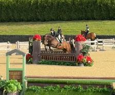 Horse Riding Lessons - Photo 3