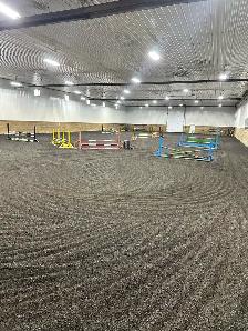 Horse Riding Lessons - Photo 5