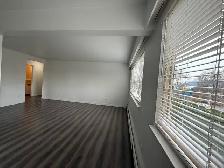 Just renovated 1-Bedroom in Prime East Van Location - $1,75 - Photo 4