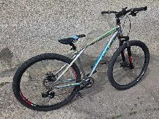 GT Mountain Bike