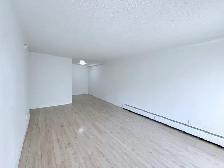 Just Renovated | Large 1-Bedroom | Steps to Waterfront Park - Photo 4