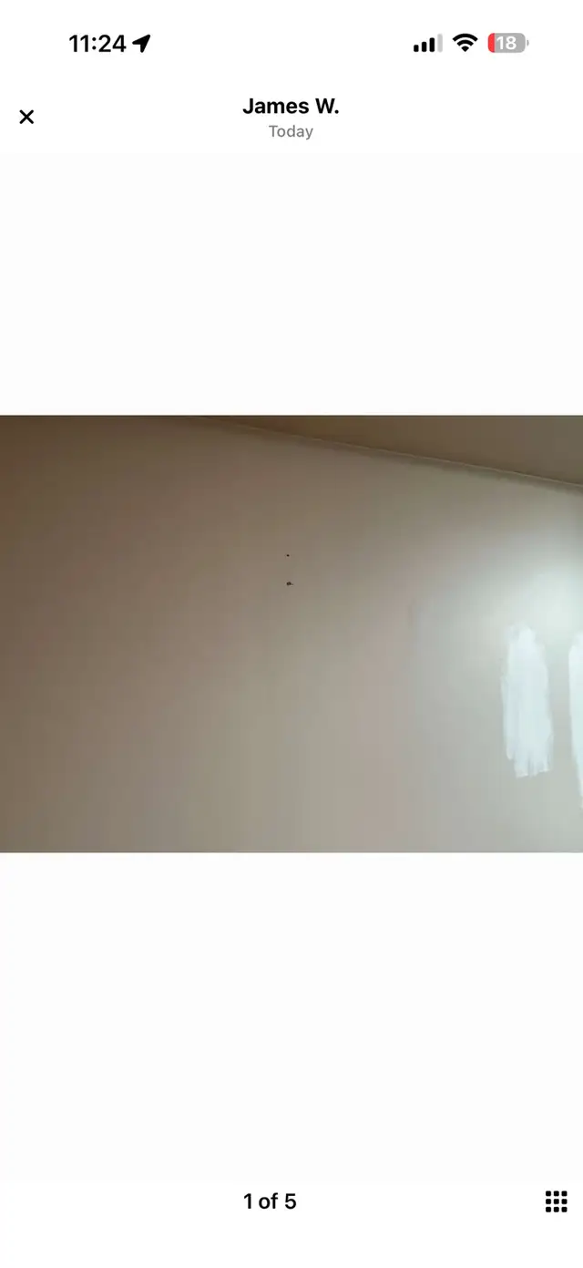 Painter Wanted – Immediate Start