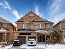 1 1 Bedroom Walkout Basement Apartment in Prime Newmarket Locat