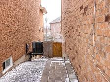 1 1 Bedroom Walkout Basement Apartment in Prime Newmarket Locat - Photo 2