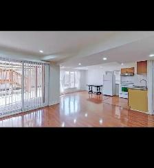 1 1 Bedroom Walkout Basement Apartment in Prime Newmarket Locat - Photo 4