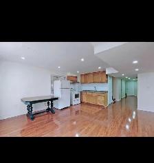 1 1 Bedroom Walkout Basement Apartment in Prime Newmarket Locat - Photo 5