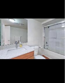 1 1 Bedroom Walkout Basement Apartment in Prime Newmarket Locat - Photo 7