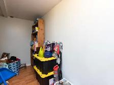 1 1 Bedroom Walkout Basement Apartment in Prime Newmarket Locat - Photo 10