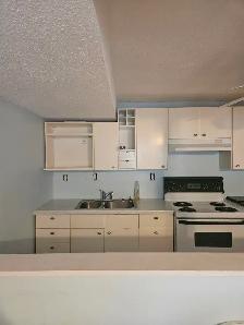 2 Bedrooms 2 Walkouts Ravine View Split Level Apartment For Rent - Photo 6