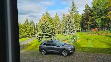 SUV for sale