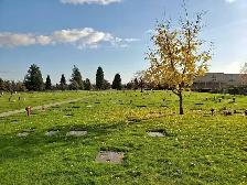 NEW AVAILABILITY: PRIVATE MEMORIAL LISTINGS @ OCEAN VIEW PARK