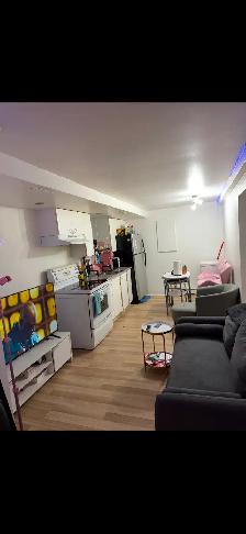 21/2 demi-sous-sol, à Rosemont, disponible le 1er AOÛT 2026