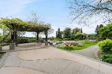 Spacious 2 Bed 2 Bath with Amazing View - The Levo - Photo 10