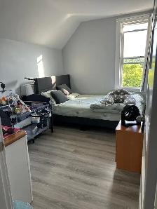 1 Bedroom Apartment - Photo 4