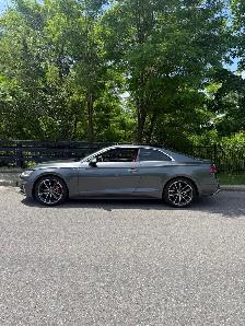 2019 AUDI S5 TEKNIC COUPE - Photo 3