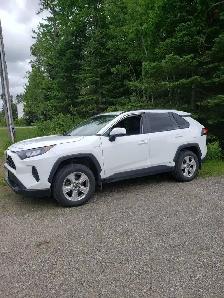 2020 Toyota Rav 4  LE Hybrid