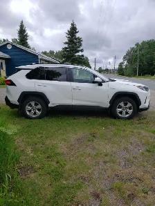 2020 Toyota Rav 4  LE Hybrid - Photo 3