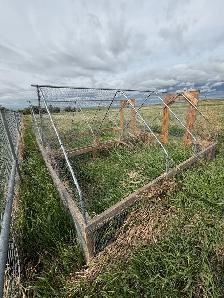 John Suscovich design chicken tractors - Photo 3