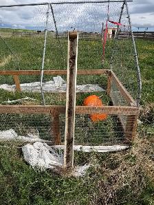 John Suscovich design chicken tractors - Photo 7