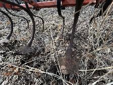 Cultivator - Photo 3