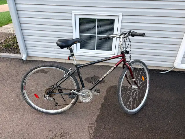 Very nice Minelly Cromoly hybrid bike for sale for $250