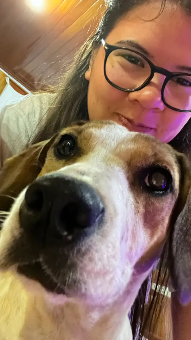 Caring Dog Walking, Pet Sitting & Special Care in Guelph