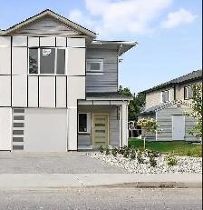 Room For Rent - Photo 4