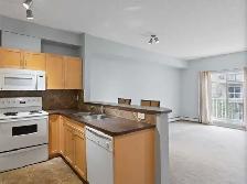 NEWLY PAINTED APARTMENT! - Photo 3