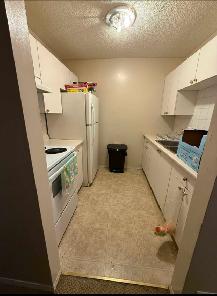 Top Floor/Studio for rent.