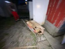 clean up - Photo 5