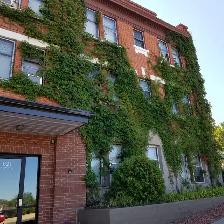 QUAINT & QUIET BUILDING - ONE BEDROOM