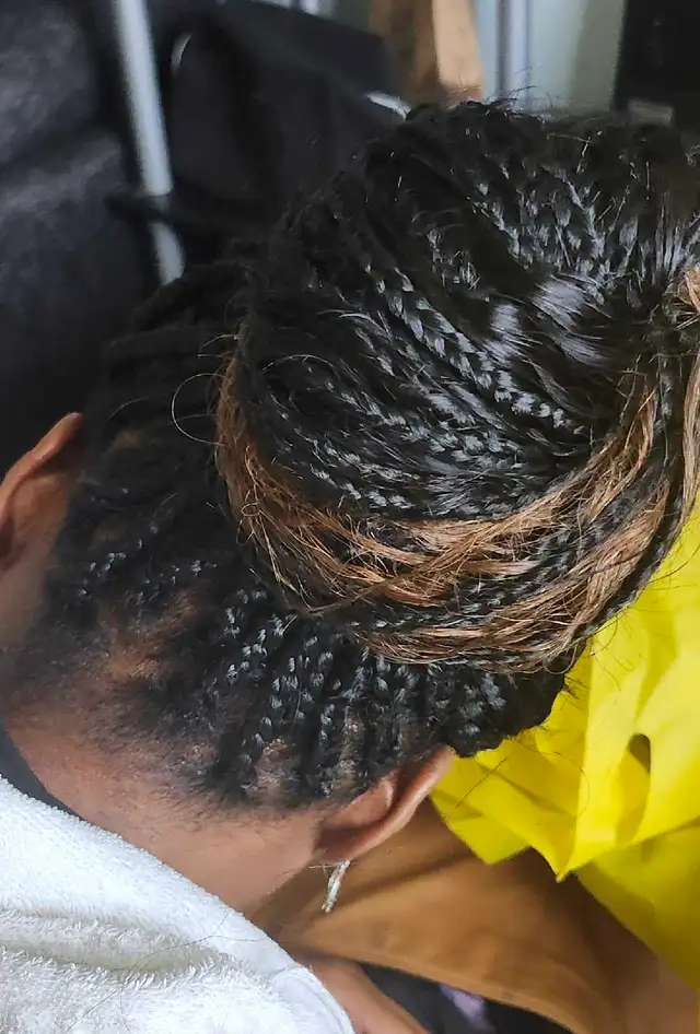 Beauty Braids