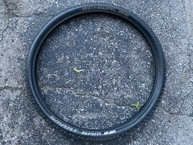 Schwalbe Smart Sam Plus DD 29" MTB Tires - 60-70% Tread