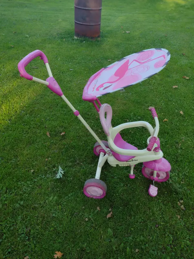 Safari pink flamingo tricycle