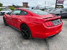 2022 FORD MUSTANG GT FASTBACK MANUAL - Photo 4