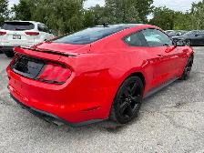 2022 FORD MUSTANG GT FASTBACK MANUAL - Photo 6