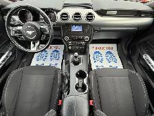 2022 FORD MUSTANG GT FASTBACK MANUAL - Photo 8
