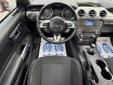 2022 FORD MUSTANG GT FASTBACK MANUAL - Photo 9