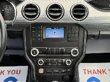 2022 FORD MUSTANG GT FASTBACK MANUAL - Photo 13