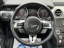 2022 FORD MUSTANG GT FASTBACK MANUAL - Photo 14
