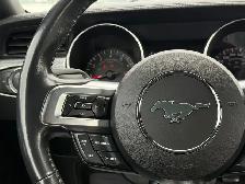 2022 FORD MUSTANG GT FASTBACK MANUAL - Photo 15
