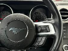 2022 FORD MUSTANG GT FASTBACK MANUAL - Photo 16