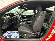 2022 FORD MUSTANG GT FASTBACK MANUAL - Photo 19