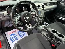 2022 FORD MUSTANG GT FASTBACK MANUAL - Photo 20