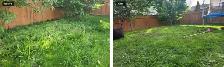 Grass Cutting - $50 - Photo 2