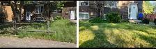 Grass Cutting - $50 - Photo 3