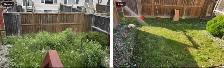 Grass Cutting - $50 - Photo 4
