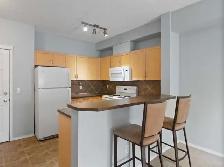 NEWLY PAINTED APARTMENT! - Photo 6